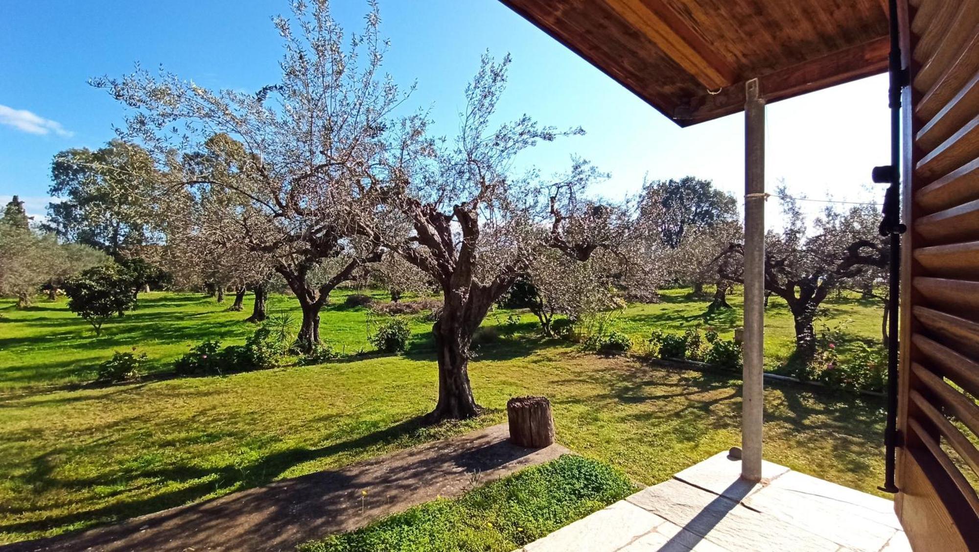 Nafpaktos Cottage By The Sea For Travelers And Dreamers! Exteriér fotografie